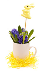 Easter bunny and hyacinths isolated on white