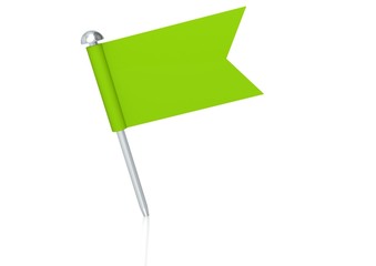 Green flag pin