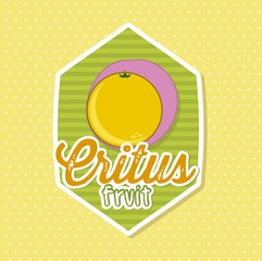 citrus fruit