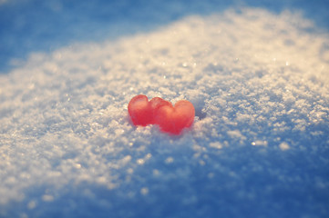 Fototapeta premium Two hearts in the snow