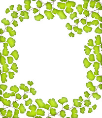 Green leaves frame