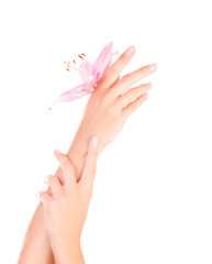 Female hands with pink lily