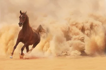 Selbstklebende Fototapete Sandige Wüste Arabisches Pferd rennt aus dem Wüstensturm