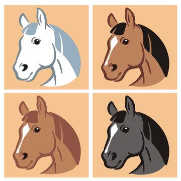 Horse 4 Colors