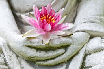 Mains de Bouddha tenant une fleur, gros plan