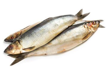 Salted herring