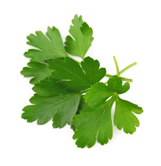 Fresh parsley