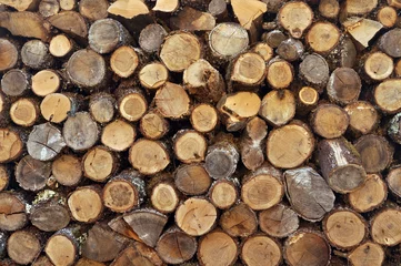 Möbelaufkleber bois de chauffage © jimmycarrington3