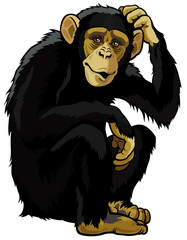 chimpanzee - obrazy, fototapety, plakaty