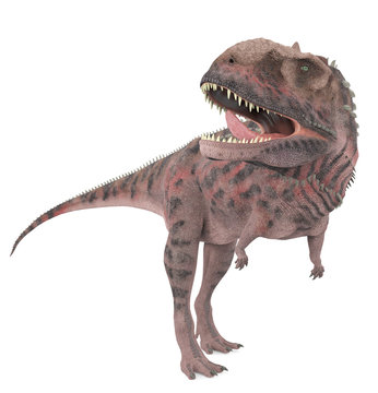 majungasaurus