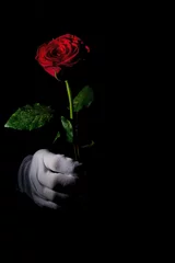 Foto op Canvas witte handschoen, rode roos © mikemols