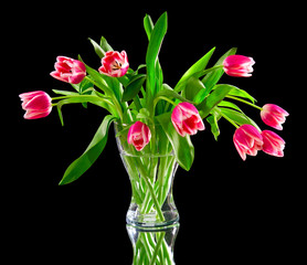 pink tulips in a clear vase