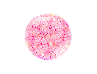 Obraz na płótnie Canvas Wiosna pink cherry ramka