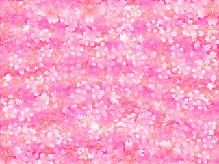 桜　さくら　背景　ピンク