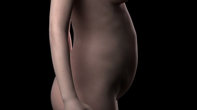 Female pregnancy in time-lapse lateral view