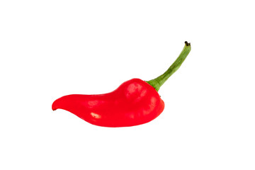 Fresno Pepper