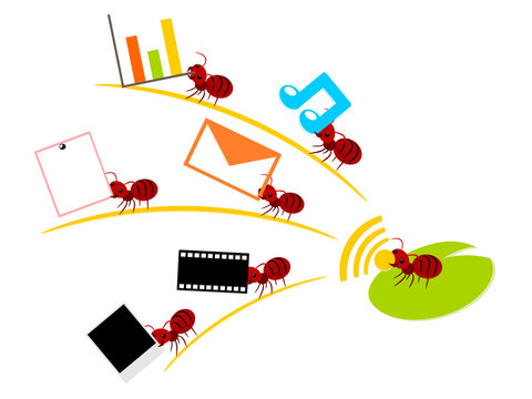 Red ants wireless lan teamwork illustration