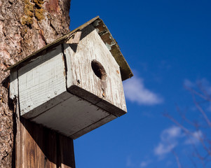 Birdhouse