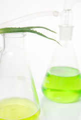 Extract of plants. Natural chemistry.