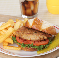 Pork Tenderloin and Fries