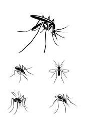 mosquito Collection Set