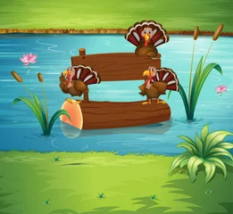 Outdoor-Kissen Truthähne und das Holzschild © GraphicsRF