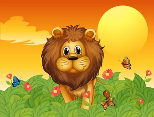 Fototapeten Ein Löwe und die Schmetterlinge © GraphicsRF