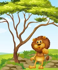 Papier Peint photo Animaux de la forêt Un lion dans les collines