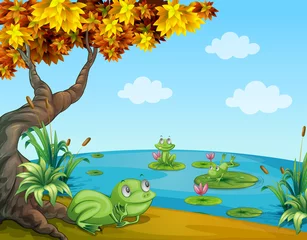 Washable wall murals River, lake Three green frogs at the pond