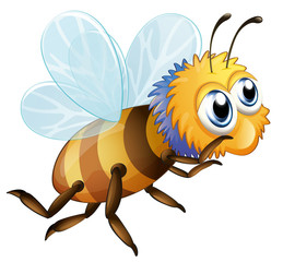 A bee