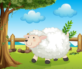 A sheep inside the fence