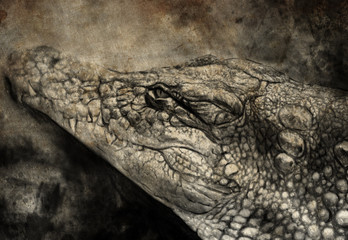 Illustration made with digital tablet, crocodile