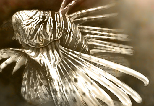 Illustration made with a digital tablet scorpion fish dangerous