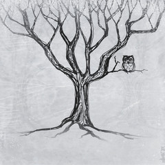Owl sitting on a tree