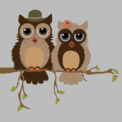 Pair of owls on branch