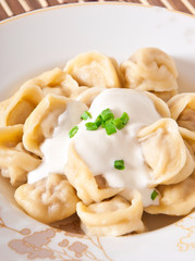 Russian national ravioli with sour cream on a plate