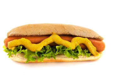 Hotdog with bread roll