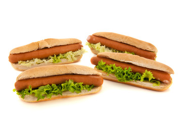 Hotdogs with bread rolls