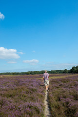 Man walking in heather landscape