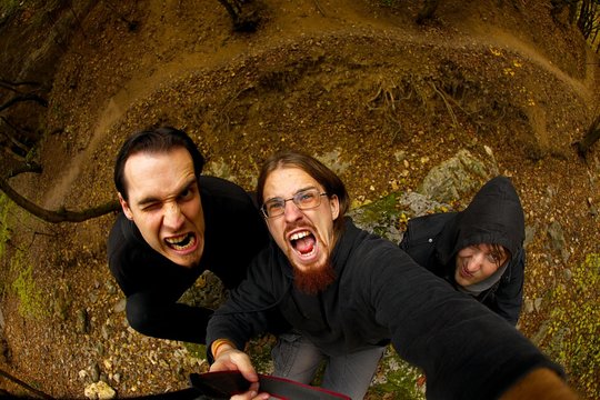 Forest - Powered by Adobe