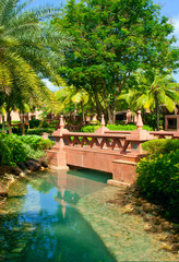 Fototapeta na wymiar Tropical garden with foot- bridge. Goa