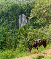 Fototapeta premium Famous waterfall 