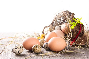Eggs with brown basket