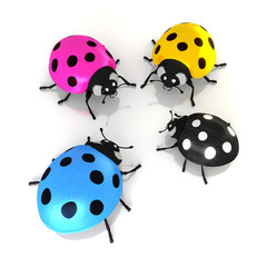 Réunion de coccinelles