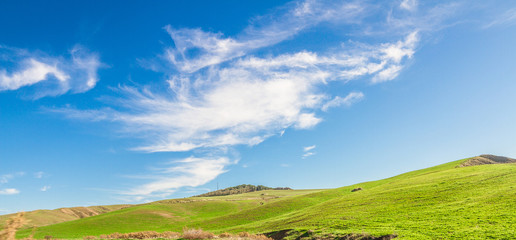 Fototapeta na wymiar pole zielone i niebieskie niebo