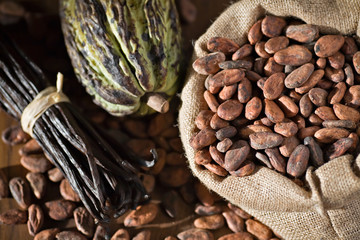 Cacao, fèves et cabosse