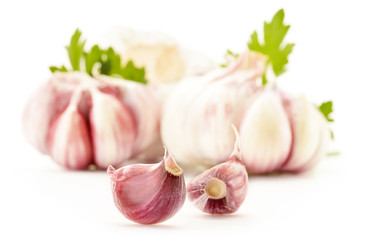 Fresh garlic with parsley isolated on white