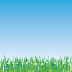 Fototapeta premium Beautiful spring background