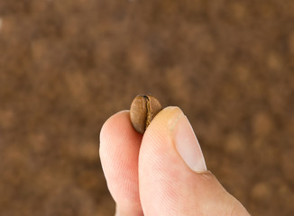 Coffee bean in hand close up
