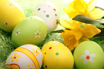 Easter eggs and daffodil